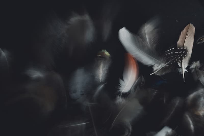 قهوه تخصصی