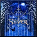 Silver Big Box