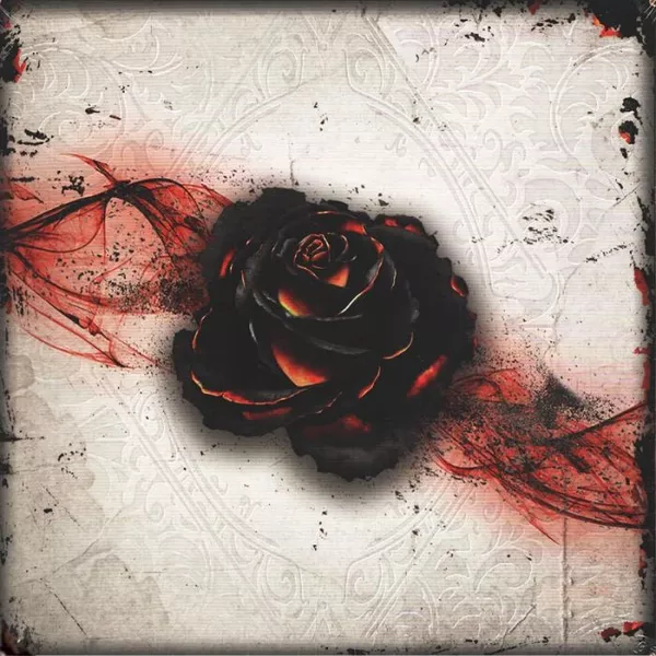 Black Rose Wars Sator Box
